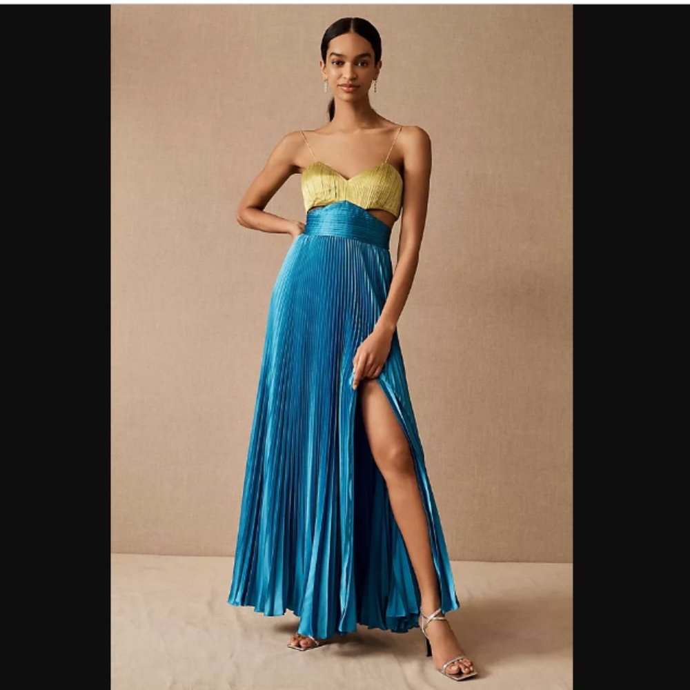 NWT Amur Elodie Gown Size 12